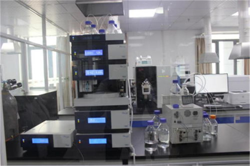 琪譜檢測(cè) 襄陽(yáng)專業(yè)食品檢測(cè)服務(wù)與高清實(shí)景展示