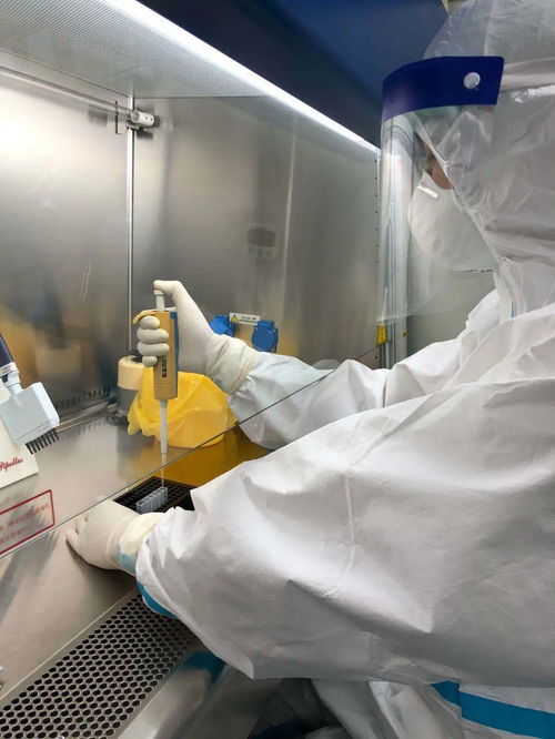 瀘西縣醫院24小時新冠病毒核酸檢測服務全流程指南