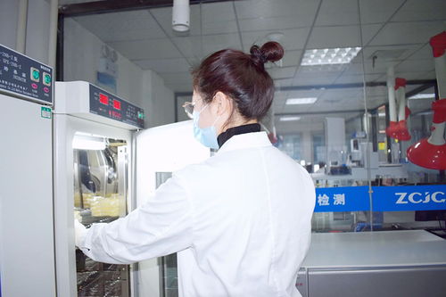 鄭州食品檢測 專業機構、服務體系與公眾守護